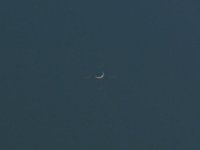 170324_0559_Venus.jpg
