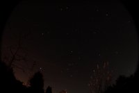 Orion, Zwillinge, Fuhrmann, Stier.JPG