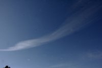 Cirrus-fibratus.jpg