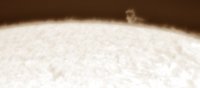 sonne-alpha-100_f6_4fachPM_0.63Redu_17-04-30 09-36-57.jpg