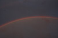 Regenbogen Detailansicht.JPG