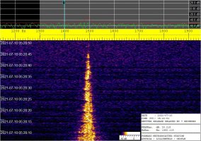 SIGNAL_20210710_052051.jpg