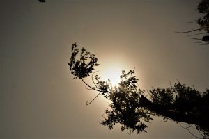Sahara-Sonne.jpg