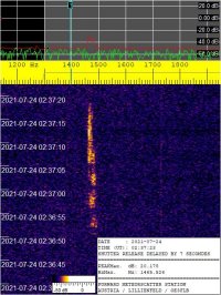 SIGNAL_20210724_023723.jpg