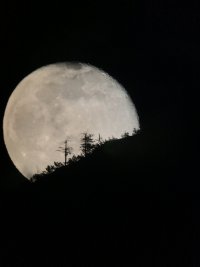 IMG_2623.JPEG