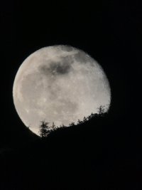 IMG_2630.JPEG