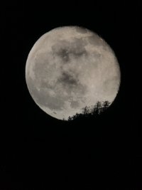 IMG_2640.JPEG