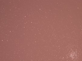 IMG_6290.jpg