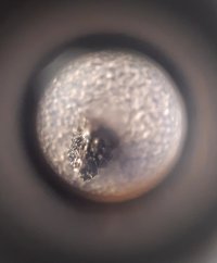 20210811_120555.jpg