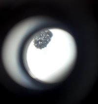 20210811_120732.jpg