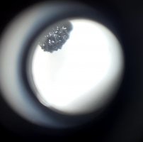 20210811_120807.jpg