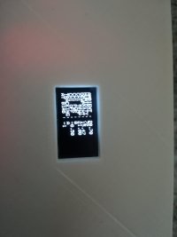 IMG_20210819_095906.jpg