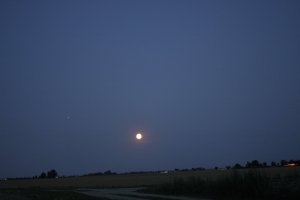 _MG_6577.JPG