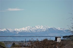 DSC_7977 (2).jpg