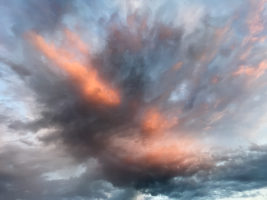 IMG_0275_rosa_Wolke.png