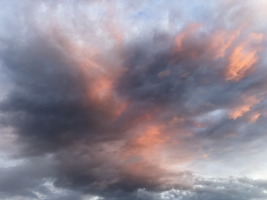 IMG_0280_rosa_Wolke.png