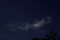 Cirrus intortus im Hoch aus West.jpg