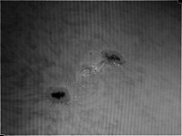Prominence_cda2_wav1_kl.jpg