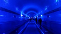 Blue_Port_1_800.JPG