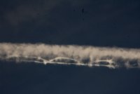Stacheldraht KS.JPG