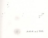 1801081740C!2017~T1(Heinze)_Ninja_48k.jpg