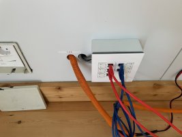 IMG_2107.jpeg
