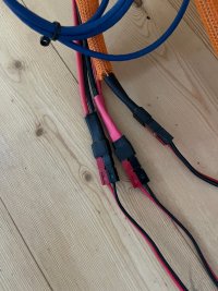 IMG_2108.jpeg
