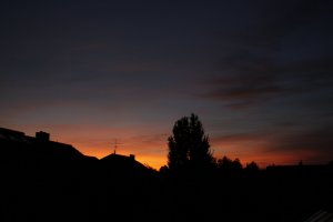 _MG_6837.JPG