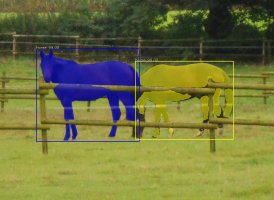 Horses3_pytorch.jpg