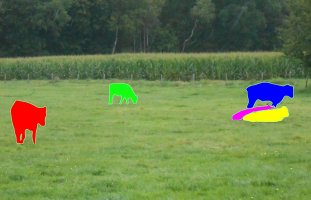 Bild_4_Cows_instance_segmentation.jpg