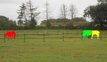 Bild_6_Horses_instance_segmentation.jpg