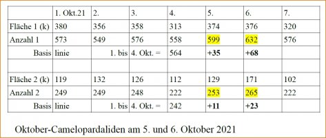 Oktober-Camelopardaliden_Oktober_2021.jpg