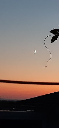 20211009_191901.jpg