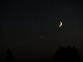 IMG_3295.JPG