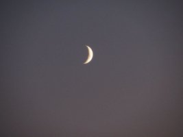 IMG_3302.JPG