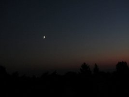 IMG_3313.JPG