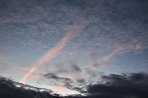 IMG_4446 (2).JPG