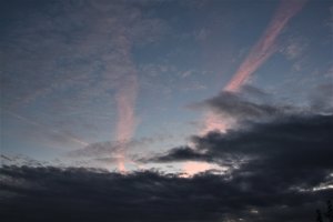 IMG_4449 (2).JPG