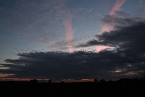IMG_4450 (2).JPG