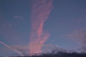 IMG_4453 (2).JPG