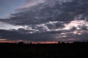 IMG_4461 (2).JPG