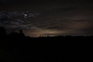 IMG_4526.JPG