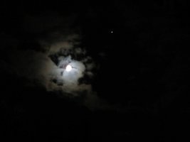 IMG_3325.JPG