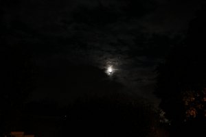 IMG_4503.JPG