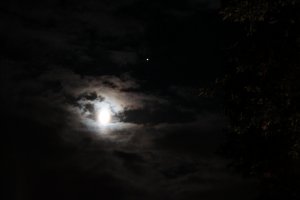 IMG_4505.JPG