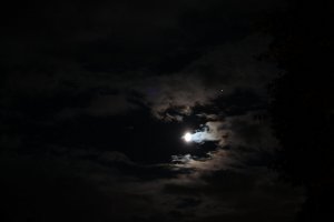 IMG_4514.JPG