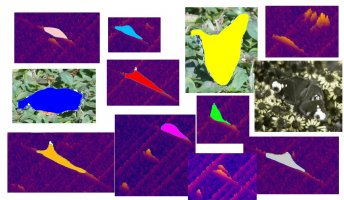 Instance-Segmentation-filled-polygons-Output.jpg