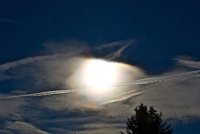 IMG_5234.jpg