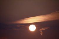 IMG_7142.jpg