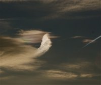 IMG_5152.jpg